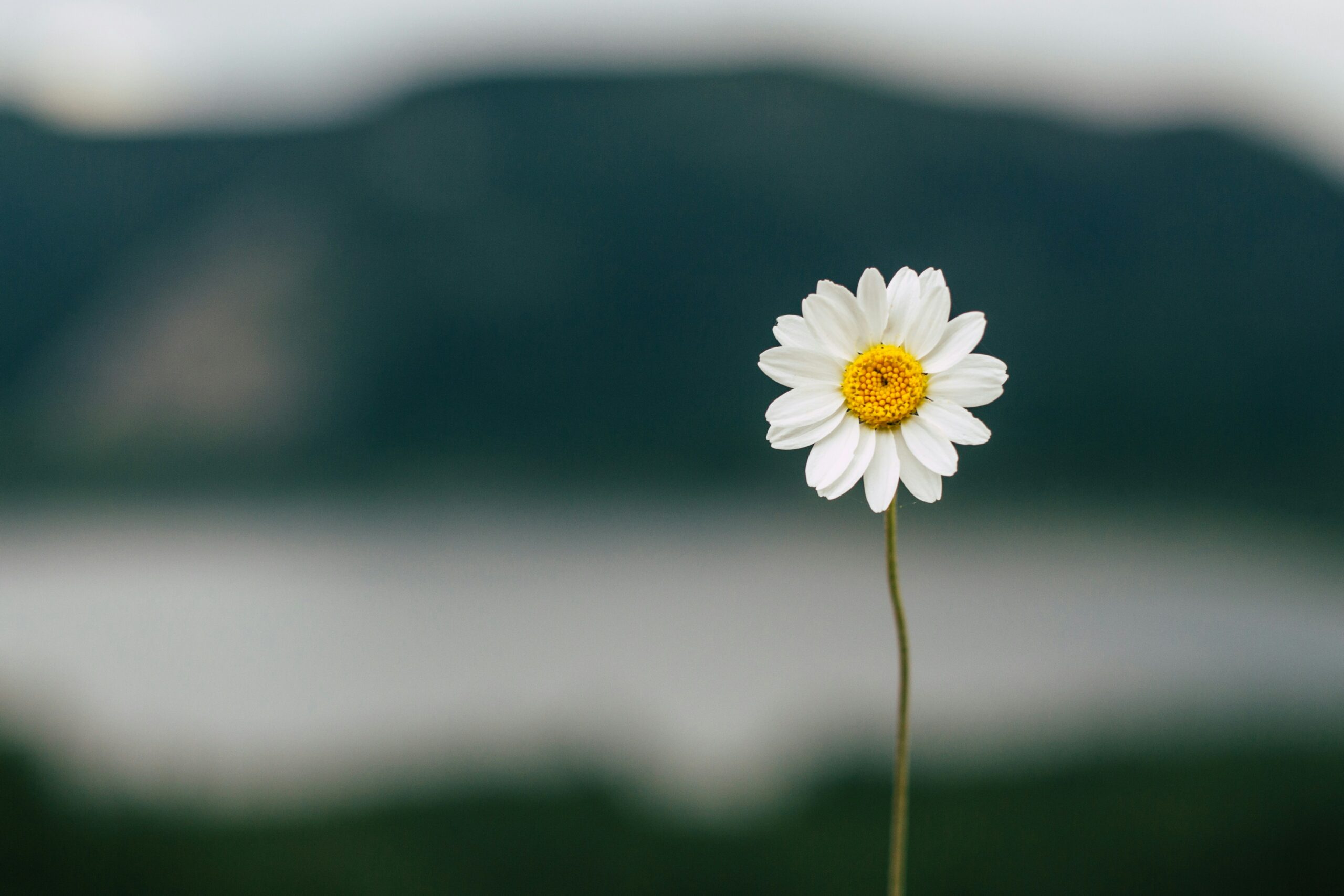 10 Bonnes raisons de faire du Taichi