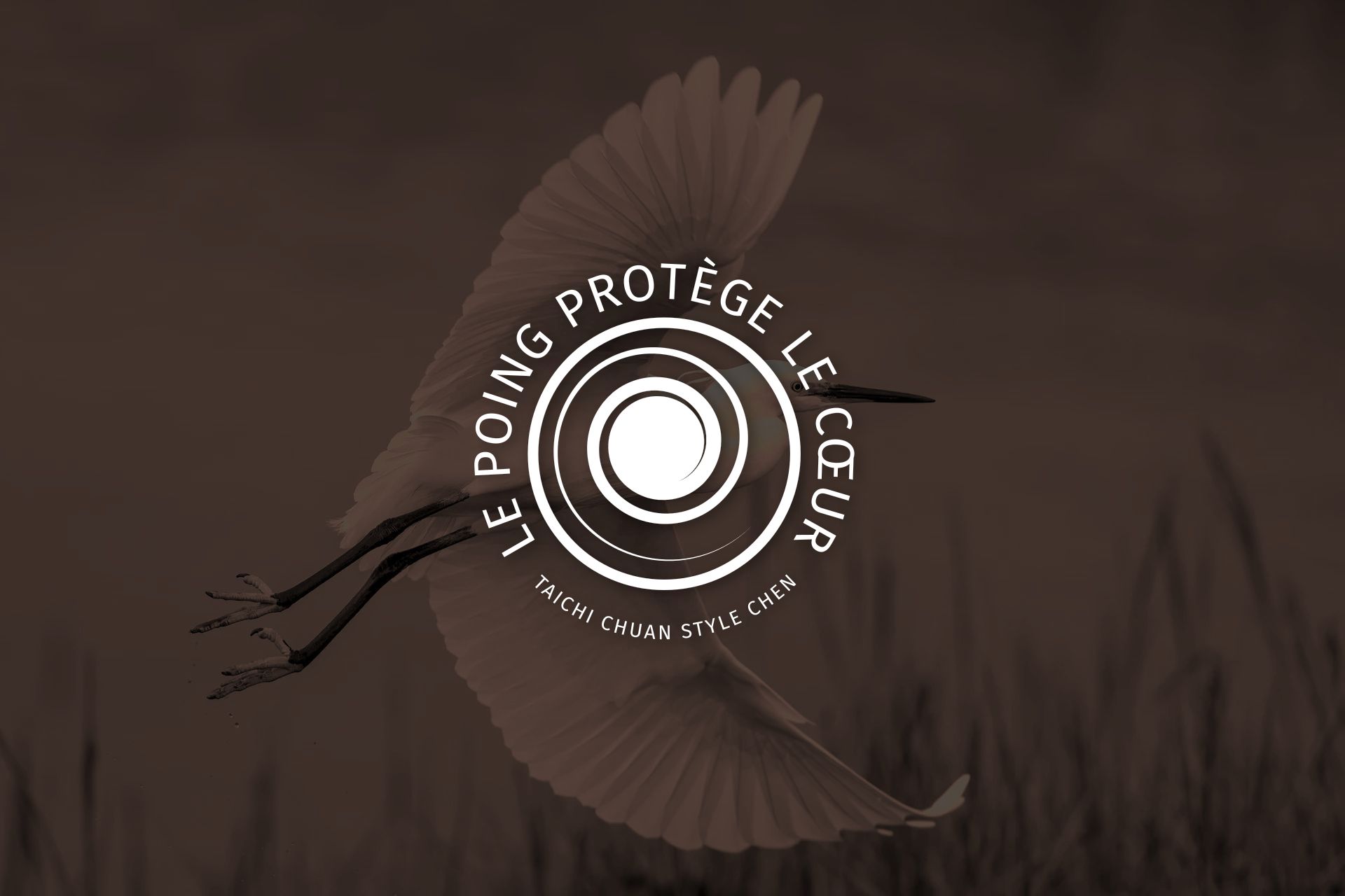 Hù xīn quán – Le poing protège le cœur – 护心拳