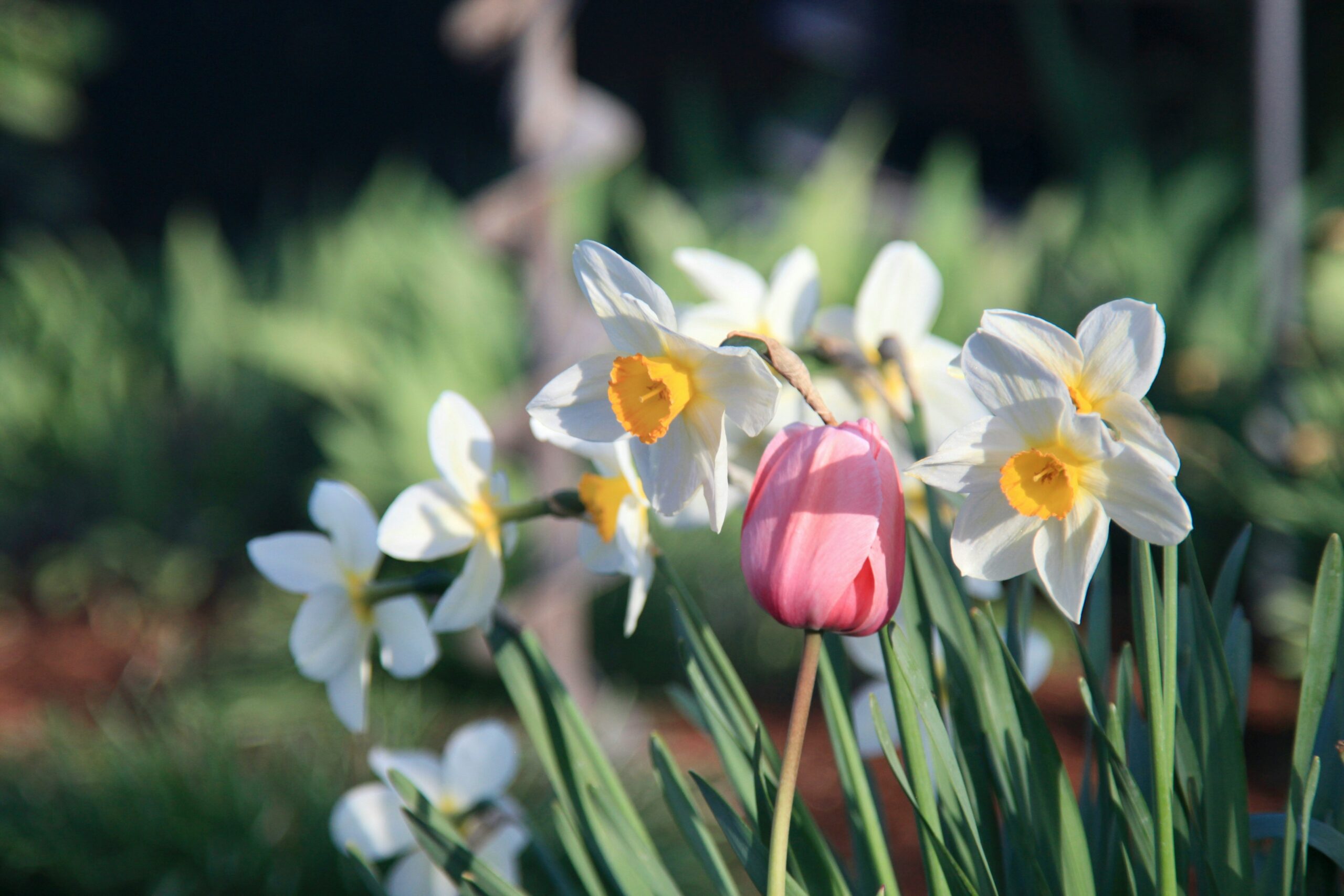 Photo : Laura Madison - Unsplash