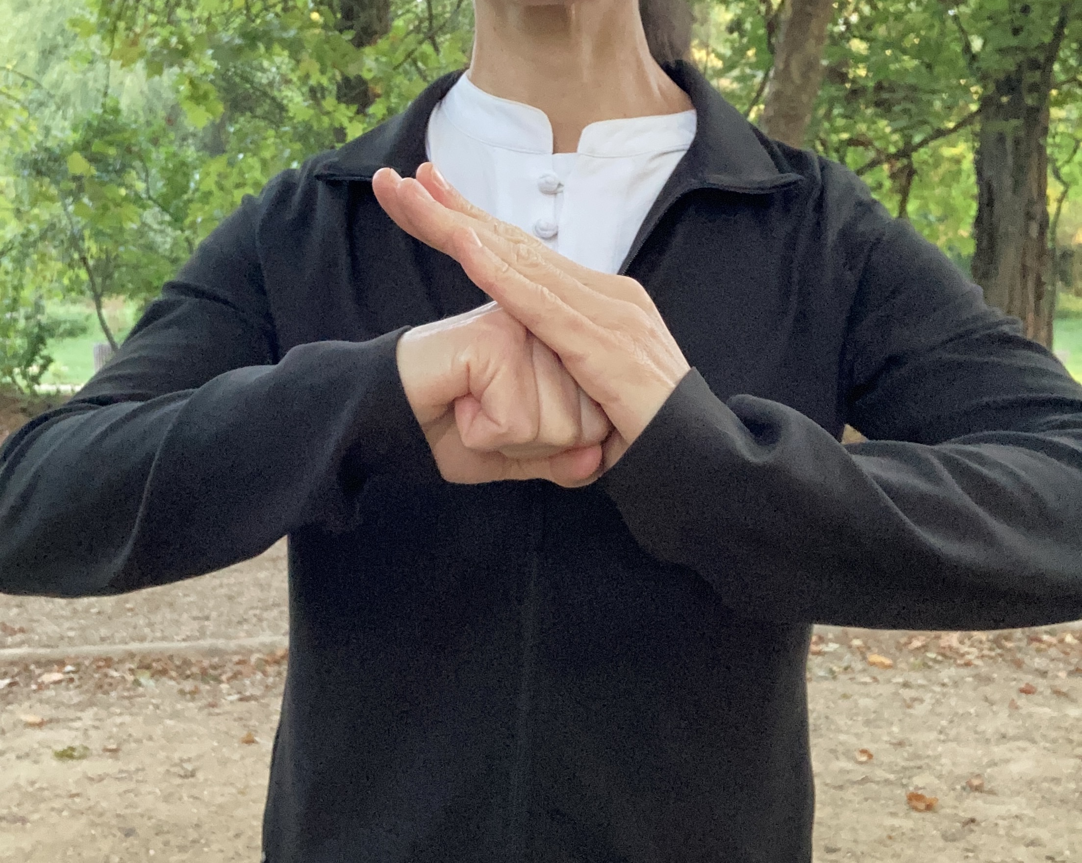 Le salut en Taichi – bào quán lǐ