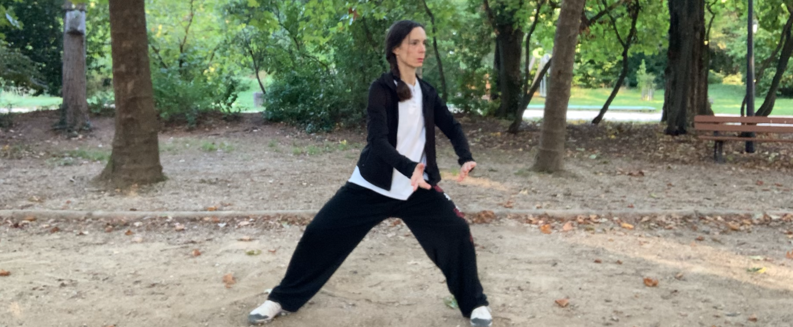 六封四闭  liù fēng sì bì – Six verrouillages et quatre fermetures